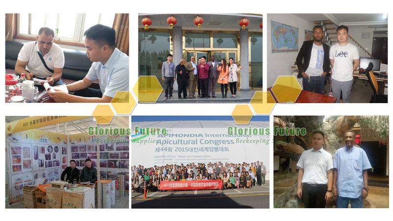 Verified China supplier - Henan Glorious Future Industrial Co., Ltd.