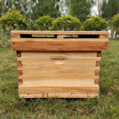 China High quality beekeeping one-layer hive hot dipped by waxLangstroth wooden bee hive for beekeeping for sale