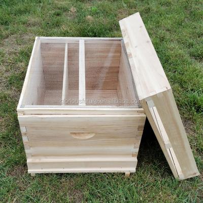 China Hot Sale Langstroth Beehive Box 1/2 Layers 10 Layers 10 Frames Bee Hive for sale