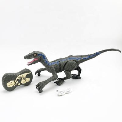 China Hot Dinosaur Toy For Kids Play /Education/RC Model Remote Control Amazon Selling Dinosaur Toy RC Remote Control Educational Toy for sale