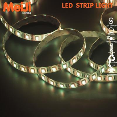 China Dream Home Color Low Voltage Digital LED Home Light RGB Accessible LED Strips Light for sale