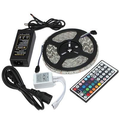 China High Bright Warranty Years Waterproof SMD 5v 12v 5050 LANDSCAPE Flexible RGB 2 Led Strip for sale