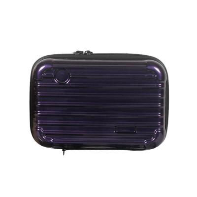 China Hard Shell PC Large Capacity Fashion Mini Suitcase Wash Bag Logo Customization Multifunctional Luggage Luggage for sale