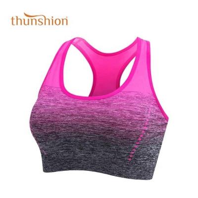 China Antibacterial Running Sports Bra Dropship BrasHigh Stretch Breathable Fitness Top Women Padded Seamless Top Cami Bra Wholesale Yoga Gym Crop for sale