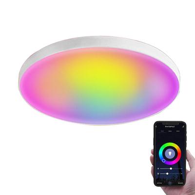 China Indoor Bedroom Hotel Lighting Outdoor Ceiling Living Room Matt Black Ultra Thin Led Mount Ceiling Lamp for sale