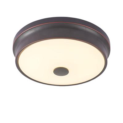 China Bedroom Living Room Home Led Modern Indoor Outdoor Ceiling Mounted Lamp for sale