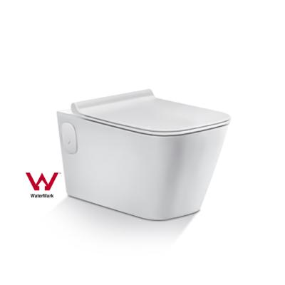 China ZHONGYA New Design Australia Watermark Hidden WELS Concealed Tank European UK WC Rimless Wall Toilet for sale