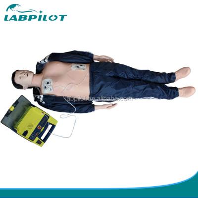 China High Quality Dummy Training CPR and AED Manikin BLS with Software, CPR Training and AED Simulator Manikin for sale