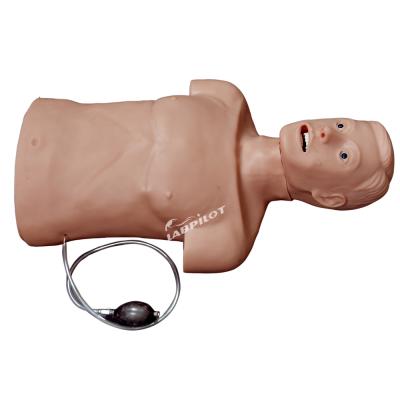 China High Quality CPR Training and CPR Adult Intubation Manikin for sale