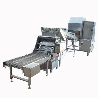 China Automatic Hotels 30cm Samosa Dosa Roti Sheet Making Machine for sale