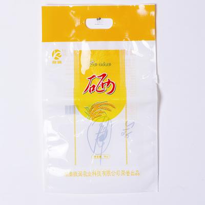 China Disposable Wholesale Custom Size Rice Flour Eco Friendly Packaging Bag Laminated Plastic Bags With Custom Logo for sale