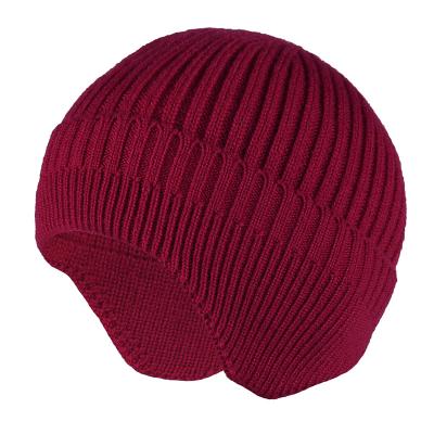 China JOINT Logo Fall Winter Women's Custom Unisex Lady Knitted Cycling Warm Cold Mens Stretch Windproof Hearing Protection Beanie Hats for sale