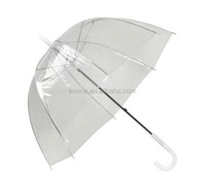 China All in 1 umbrella clear for sale