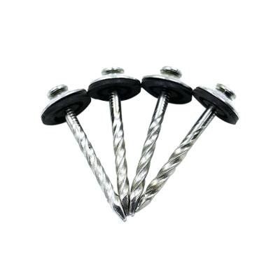 China Concrete Brad Umbrella Head Roofing Nails Steel Flat Iron Stainless Steel Nail China Manufacture for sale