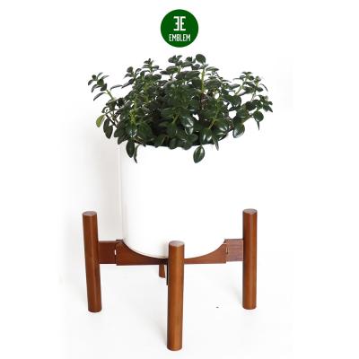 China Custom Logo Bamboo Bedroom Stand Expandble Plant Bamboo Flower Pot Storage Shelf For Buries Plant Wooden Adjustable Stand for sale