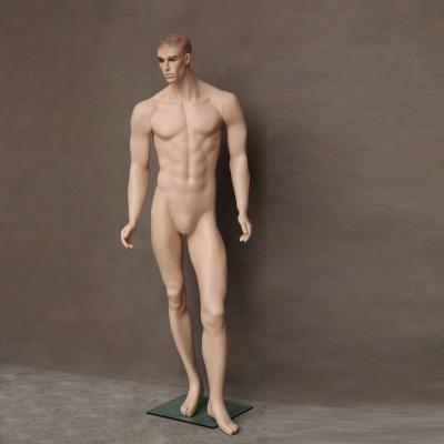 China Realistic Full Body Muscle Male Realistic Male Body Shape Dummy Mannequin for sale