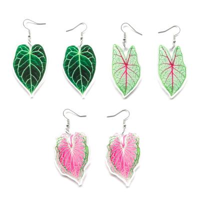 China FASHIONABLE Trendy Green Pink Leaves UV Printing Acrylic Dangle Charm Earrings For Women for sale