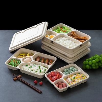 China Customized 100% Biodegradable Sugar Cane Bagasse Lunch Box Fast Food Takeaway Food Container for sale