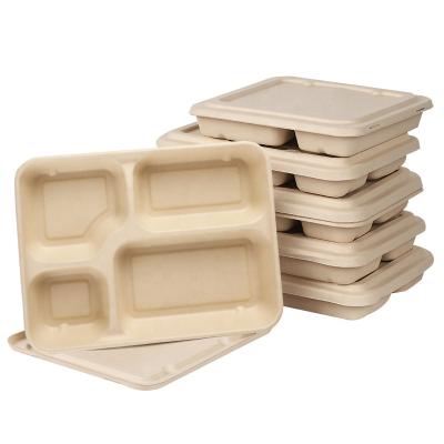 China Bento Box Bagasse Food Container 15%off Organic Sugar Cane Sugarcane Bamboo 15-25 Pulp Days Degradable Biodegradable Graver for sale