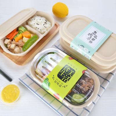 China Eco-Friendly Biodegradable Biodegradable Biodegradable Sugar Cane Lunch Box Eco-Friendly Packaging Food Container for sale