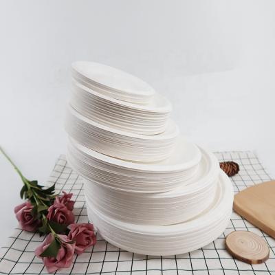 China Modern multifunctional bagasse dinner dishes pizza sugarcane dish for wholesales for sale