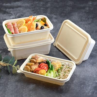 Chine Sustainable Friendly Compostable Disposable Eco Bento Biodegradable Tableware Lunch Box Food Container Cornstarch Lunch Box Set à vendre