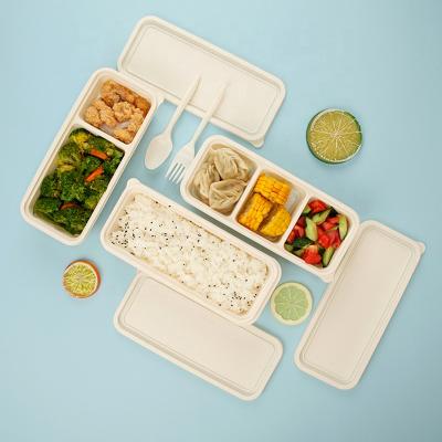 China Cornstarch Square Food Container Biodegradable Biodegradable Food Bowl for sale