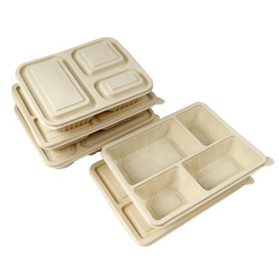 China 1000ml Sustainable Biodegradable Cornstarch Food Container With Lid Compostable Food Box One Time Use Lunch Box for sale