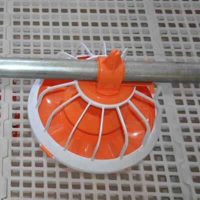 China Farms Poultry Equipment Automatic Feeding System For Breeder Broilder Feeder For Poultry Breeding Hens Feeder Poultry Drinker for sale