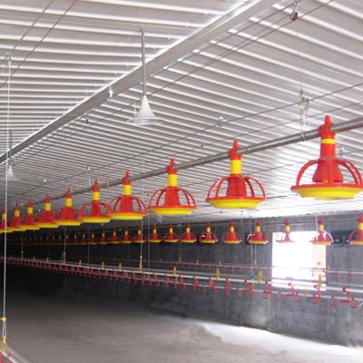 China Breeds Auger Automatic Feeding System For Breeder Broilder Poultry Feeders And Drinkers For Nigeria Chickens for sale