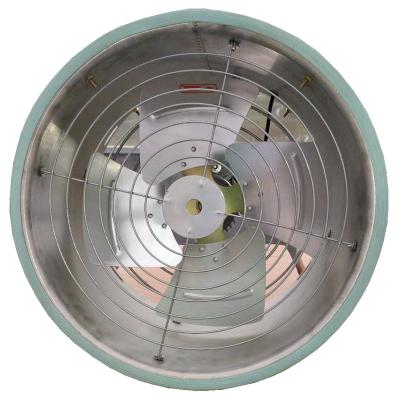 China Hotels 400mm 500mm Circulation Fan For Greenhouse Green House Agriculture for sale