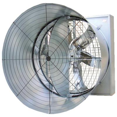 China Farms 54inch Double Door Type Cone Exhaust Fan For Poultry Farm Chicken House With 430 Stainless Steel Blade for sale