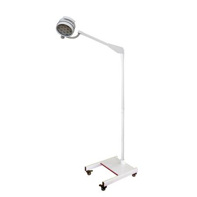 China RC-EL200LED Double Examination Lamp Acrylic Surgical Light Price Surgery Light for sale