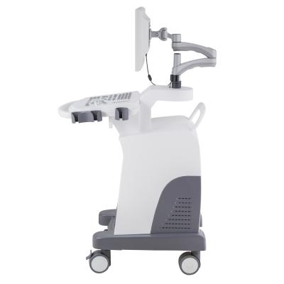 China RC-BW370 Abdomen PC Black-and-White Platform Trolley Full-Digital Ultrasound Diagnostic System for sale