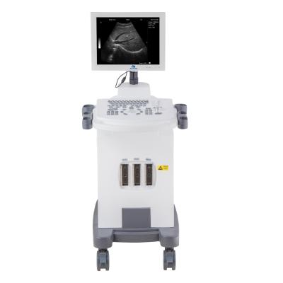 China RC-BW370 Abdomen PC Black-and-White Platform Trolley Full-Digital Ultrasound Diagnostic System for sale