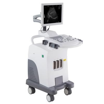 China Portable Veterinary Ultrasound Machine Price RC-BW370 Abdomen Ultrasound Doppler Ultrasound Machine for sale