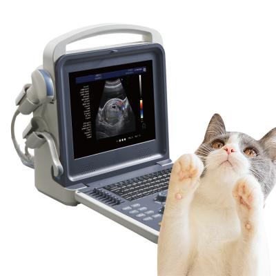 China RC-K600V China Manufacture Portable Abdomen Doppler Imaging Animal Color Ultrasound Machine for sale