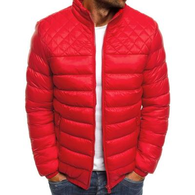 China 2021 Wholesale Factory Fashion Winter Men's Wear Anti-Wrinkle Stand Up Collar Down Jacket Full Zipper Men's Winter Jacket Coat for sale