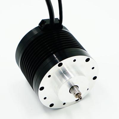 China IP54-IP66+ 20kw bldc motor bldc motor 50kw any voltage speed for you for sale