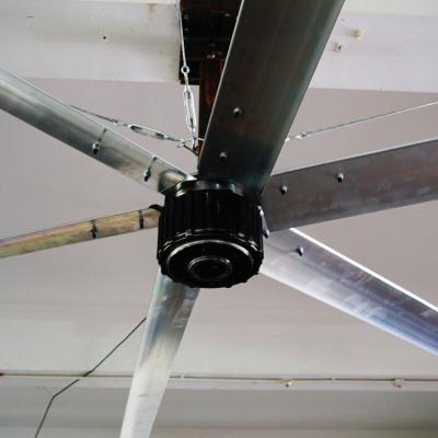 China animal husbandry/sports industry/industrial ceiling fan of the latest permanent magnet synchronous motor hvls recreation/transport hub large for sale