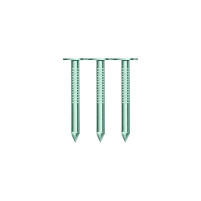 China Hot Selling Smooth Flat Twisted Shank Galvanized Round Roofing Nail for sale