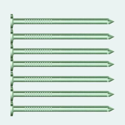 China High Quality Hot Dipped Galvanized Flat Head Smooth Shank Joint Nails for sale