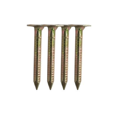 China Good Quality Flat Hard Wearable Galvanized Smooth Leg Coil Roofing Nails for sale