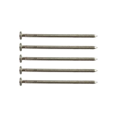 China Various Specifications Flat Screw Shank Coil Wire Nails Coil Flat Joint Nails for sale