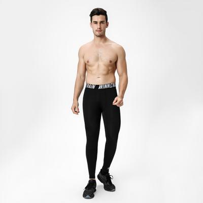 China WINNERAIN Breathable Stable Quality Fitness Tight Gym Pants Men for sale