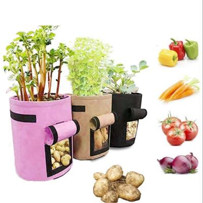 China Polyester Fiber Garden Grow Bags 3 Gallon 5 Gallon 10 Gallon 25 Gallon Container Garden Potato Aeration Felt Fabric Pots Grow Bag for sale