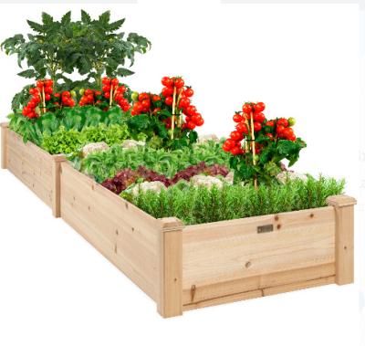 China China Wooden Raised Garden Bed / Planter Box For Vegetable / Flower / Greens Home Plant for sale