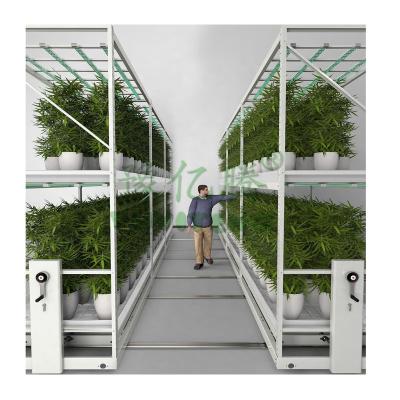 China Factory Price Vertical Movable Multilevels Anti-corrosion Grow Stand For Agricultural Use for sale