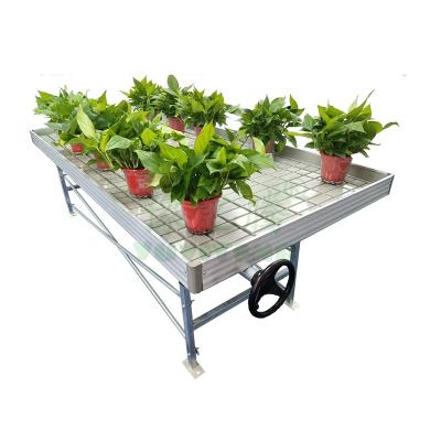 China Greenhouse Seedling Growing Adjustable Ebb And Flow Systems Rolling Table Benches For Plant for sale