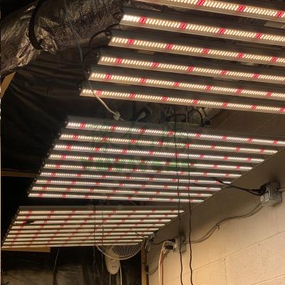 China Dimming Control Wholesale Led Grow Light Bar Greenhouse 800W LED Grow Light for sale